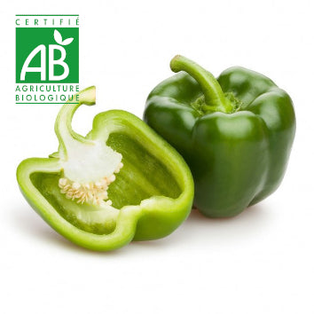 Poivron vert BIO ~250g