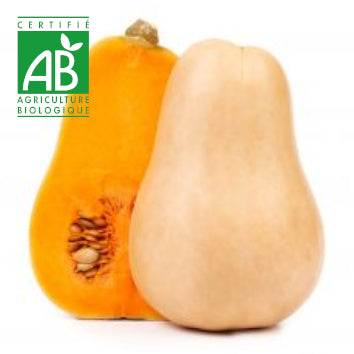 Courge butternut BIO ~750g