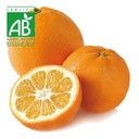 Orange péi BIO ~750g