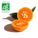 Tangor BIO ~750g