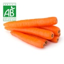 Carotte sans fanes BIO ~750g
