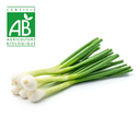 Oignon nouveau BIO ~500g