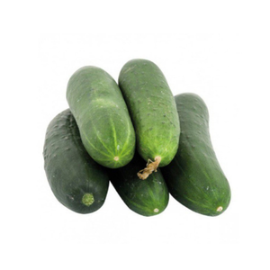Concombre maraîcher x1