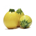 Courgette Jaune Ronde ~750g