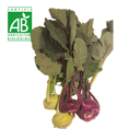 Chou Rave sans fanes BIO ~750g