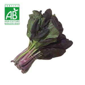 Chou kale BIO x1 botte
